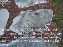 Psalms 18:2  The LORD is my rock, and my fortress, and my deliverer; my God, my strength, in whom I will trust; my buckler, and the horn of my salvation, and my high tower.